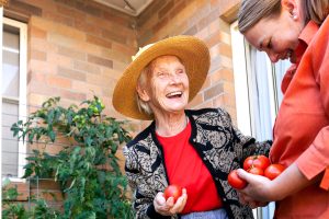 Elderly woman picking tomatoes with carer