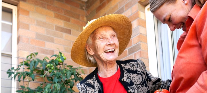 Elderly woman picking tomatoes with carer