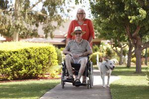 Carer pushing a male client in wheelchair with white dog in Shepparton